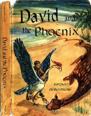 [Gutenberg 27922] • David and the Phoenix